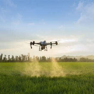 DJI T50 A drone flying over a green field with dust being kicked up below.